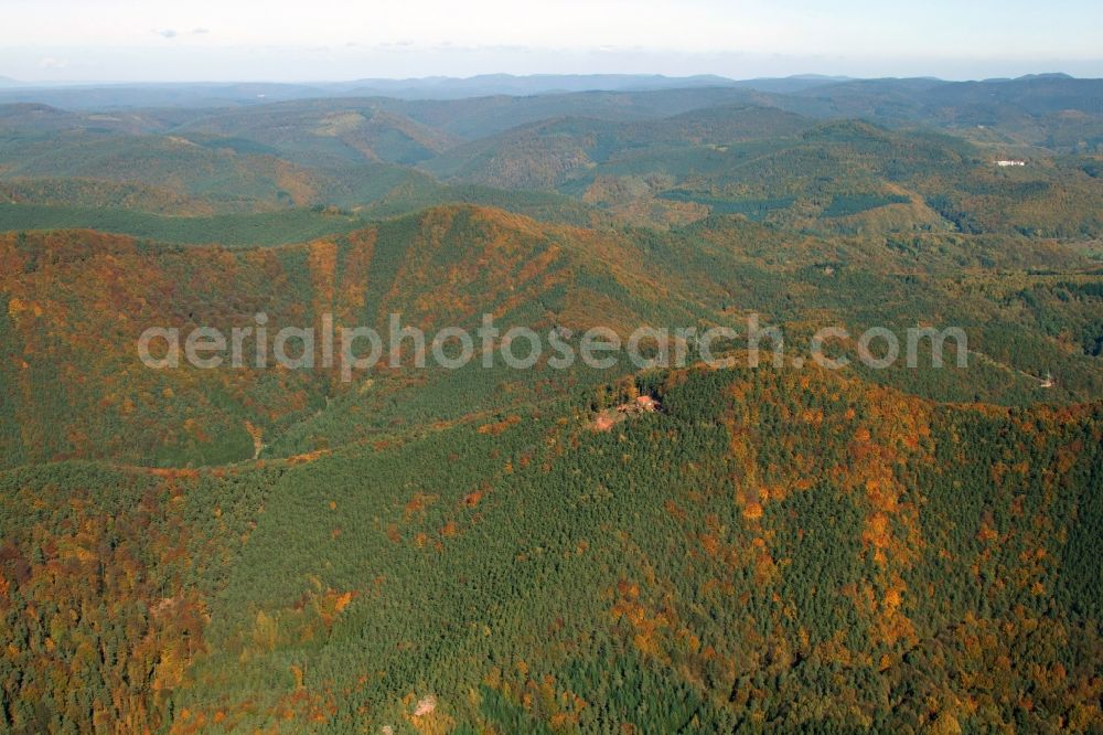 Annweiler am Trifels from the bird's eye view: Building of the hostel Jungpfalzhuette in Pfaelzerwald in Annweiler am Trifels in the state Rhineland-Palatinate