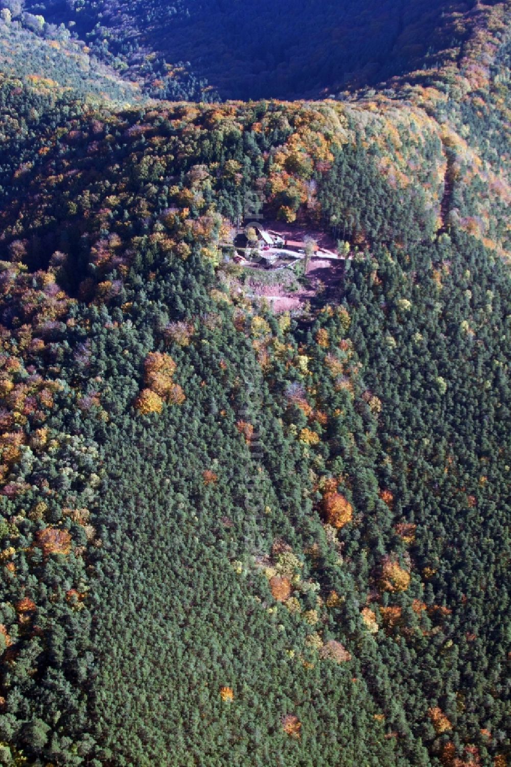 Aerial photograph Annweiler am Trifels - Building of the hostel Jungpfalzhuette in Pfaelzerwald in Annweiler am Trifels in the state Rhineland-Palatinate