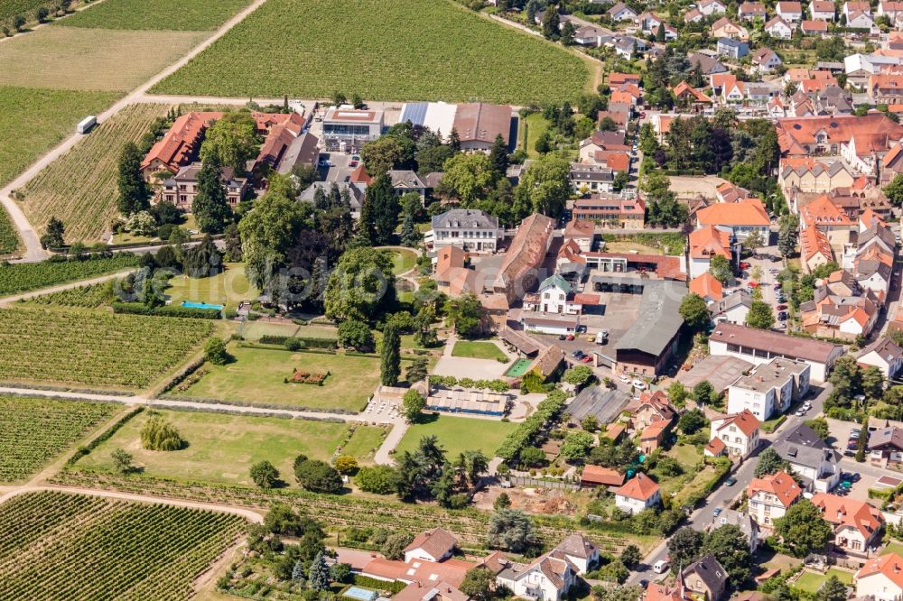 Wachenheim an der Weinstraße from above - Buildings and parks at the mansion of the wine cellar Weingut Dr. Buerklin-Wolf in Wachenheim an der Weinstrasse in the state Rhineland-Palatinate, Germany