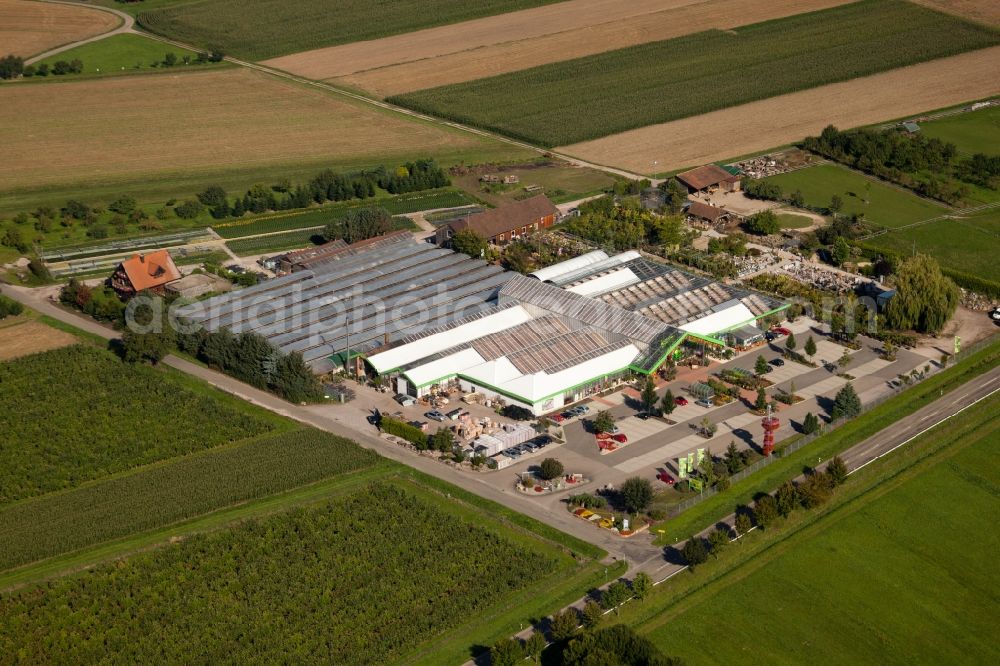 Aerial photograph Achern - Building of Store plant market Blumen Decker GmbH in the district Grossweier in Achern in the state Baden-Wuerttemberg