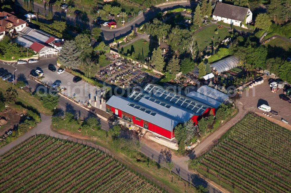 Neustadt an der Weinstraße from the bird's eye view: Building of Store plant market Blumen Schupp in Neustadt an der Weinstrasse in the state Rhineland-Palatinate, Germany