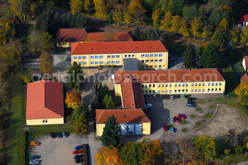 Wandlitz from the bird's eye view: Roof on the building of the sports hall TTV Wandlitz on Prenzlauer Chaussee in Wandlitz in the state Brandenburg, Germany