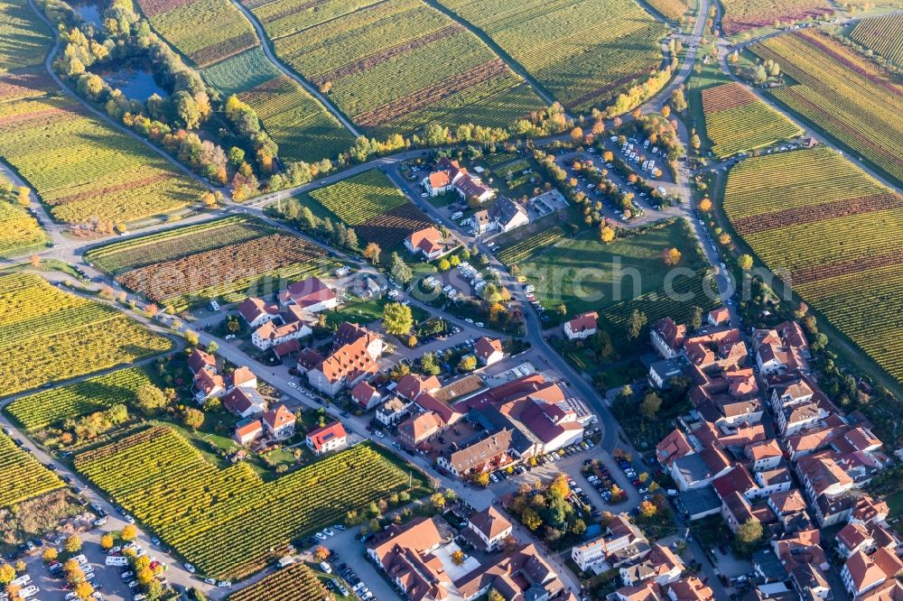 Sankt Martin from the bird's eye view: Complex of the hotel building ondhaus Christmonn - Weingut & Brennerei in Sankt Martin in the state Rhineland-Palatinate, Germany