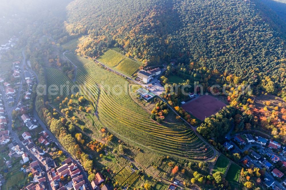 Sankt Martin from above - Complex of the hotel building Haus on Weinberg in Sankt Martin in the state Rhineland-Palatinate, Germany