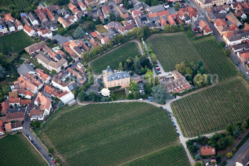 Edesheim from the bird's eye view: Complex of the hotel building Hotel Schloss Edesheim, Privathotels Dr. Lohbeck GmbH & Co. KG in Edesheim in the state Rhineland-Palatinate