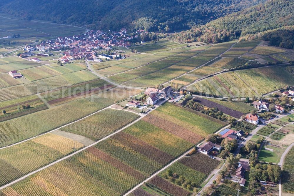 Aerial photograph Leinsweiler - Complex of the hotel building Leinsweiler Hof in Leinsweiler in the state Rhineland-Palatinate, Germany