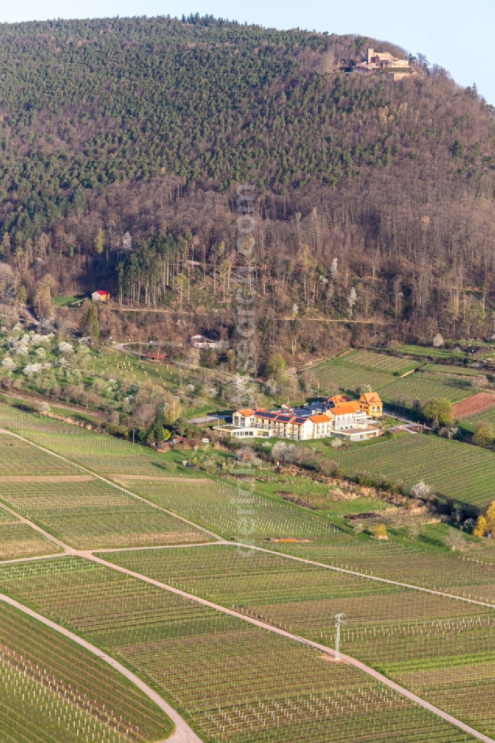 Rhodt unter Rietburg from above - Complex of the hotel building Wohlfuehlhotel Alte Rebschule and Gasthaus Sesel in springtime in Rhodt unter Rietburg in the state Rhineland-Palatinate, Germany