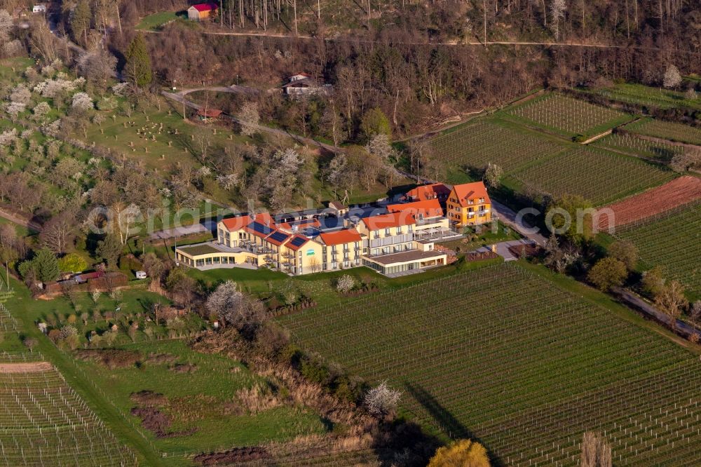 Rhodt unter Rietburg from the bird's eye view: Complex of the hotel building Wohlfuehlhotel Alte Rebschule and Gasthaus Sesel in springtime in Rhodt unter Rietburg in the state Rhineland-Palatinate, Germany