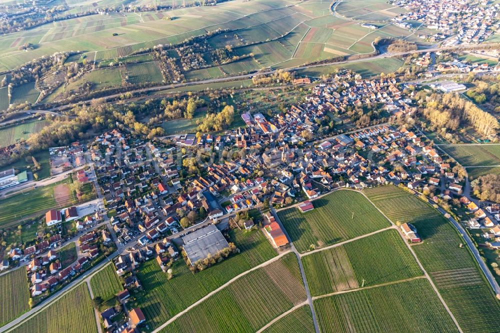 Aerial image Siebeldingen - Building complex of the Institute Julius Kuehn Rebforschungsanstalt Geilweilerhof mit bluehenden Mandelbaeumen in Siebeldingen in the state Rhineland-Palatinate, Germany