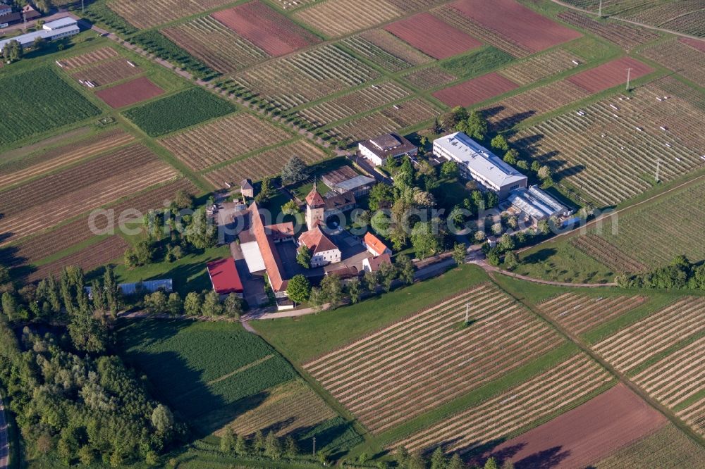 Siebeldingen from the bird's eye view: Building complex of the Institute Julius Kuehn Rebforschungsanstalt Geilweilerhof in Siebeldingen in the state Rhineland-Palatinate, Germany