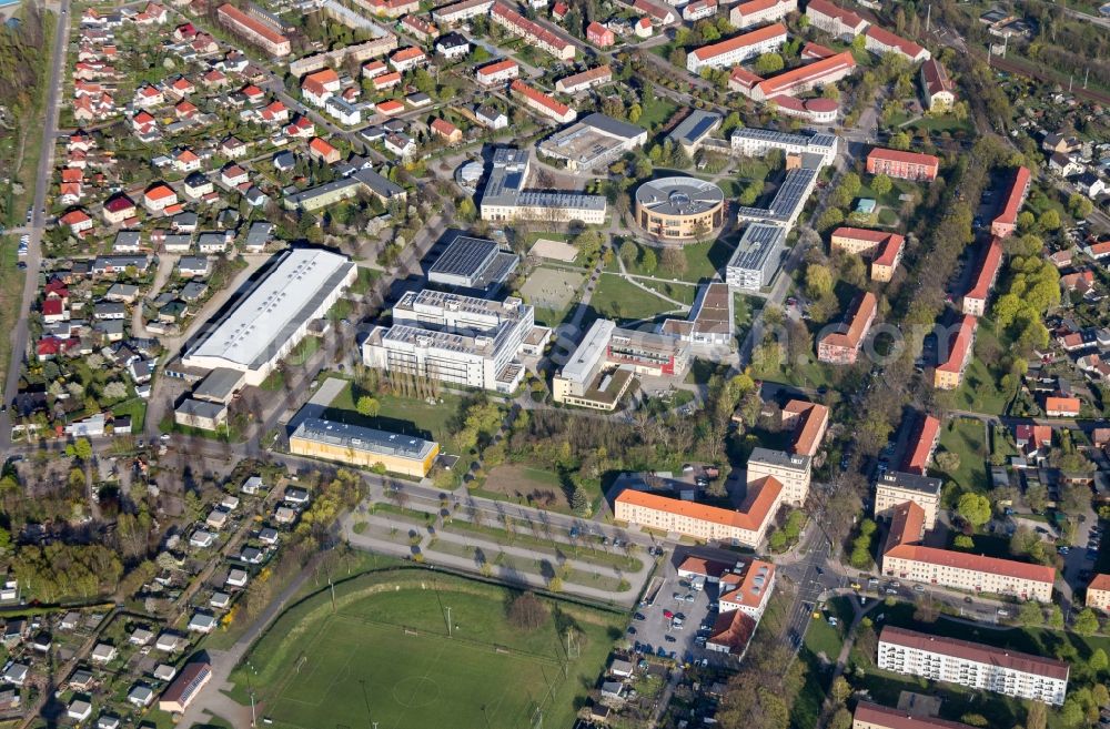 Aerial photograph Senftenberg - Building complex of the university Cottbus-Senftenberg in Senftenberg in the state Brandenburg