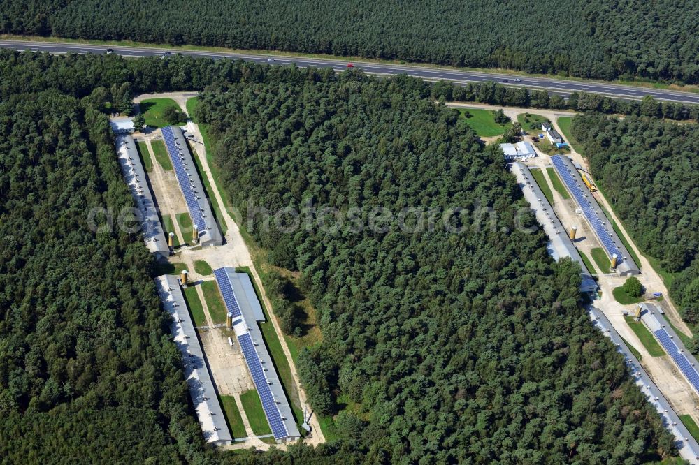 Aerial photograph Radeburg - Building complexes of the chicken farm in the woods at the Zschornaer road in Radeburg in Saxony