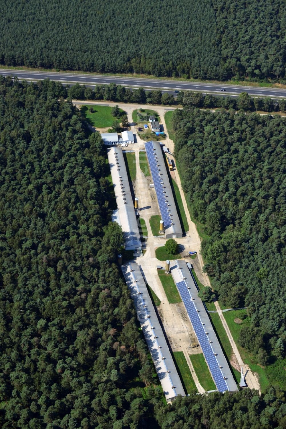 Radeburg from the bird's eye view: Building complexes of the chicken farm in the woods at the Zschornaer road in Radeburg in Saxony