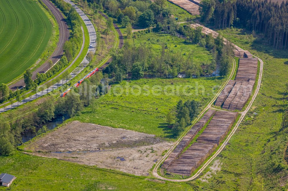 Aerial image Ramsbeck - Felled tree trunks in a forest and forest area on street Ostwig in Ramsbeck at Sauerland in the state North Rhine-Westphalia, Germany