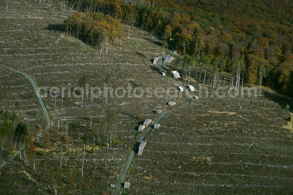 Aerial image Anspach - Felled tree trunks in a forest area in Anspach in the state Hesse, Germany