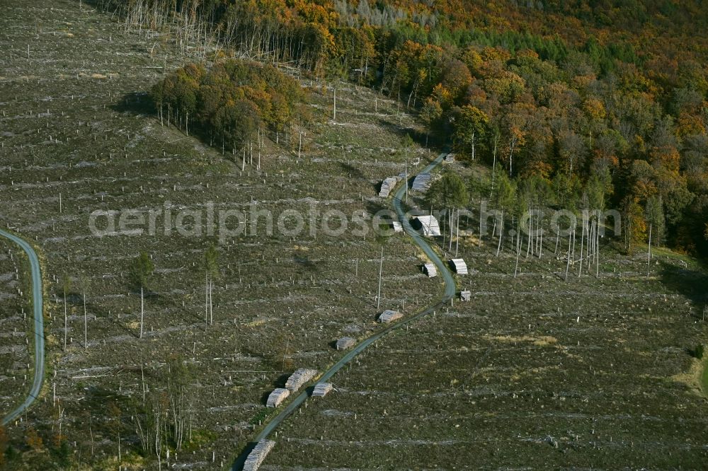 Aerial photograph Anspach - Felled tree trunks in a forest area in Anspach in the state Hesse, Germany