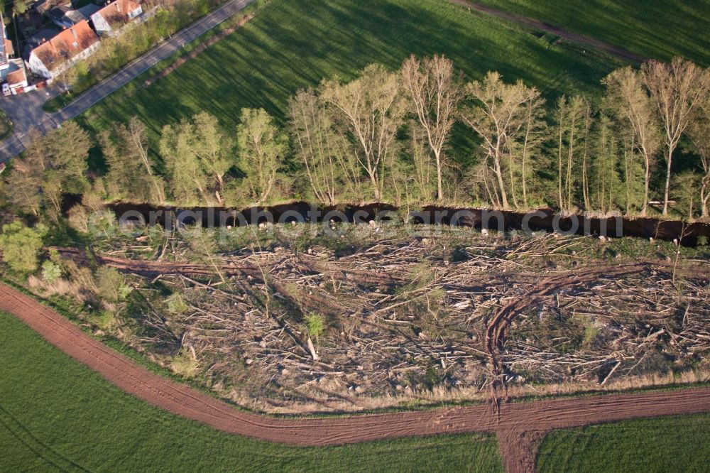 Hochstadt (Pfalz) from the bird's eye view: Felled tree trunks in a forest area in Hochstadt (Pfalz) in the state Rhineland-Palatinate