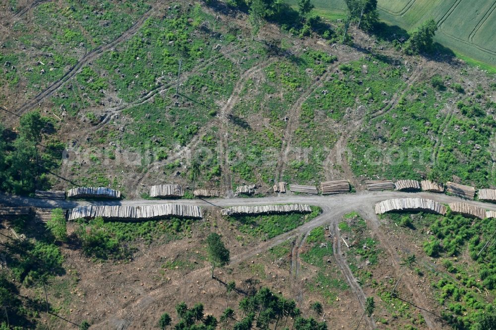 Kalefeld from the bird's eye view: Felled tree trunks in a forest area in Kalefeld in the state Lower Saxony, Germany