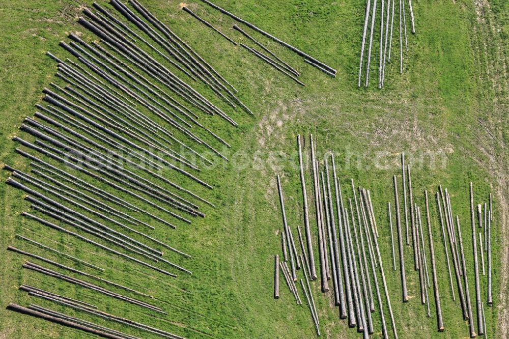 Kumhausen from above - Felled tree trunks in a forest area in Kumhausen in the state Bavaria