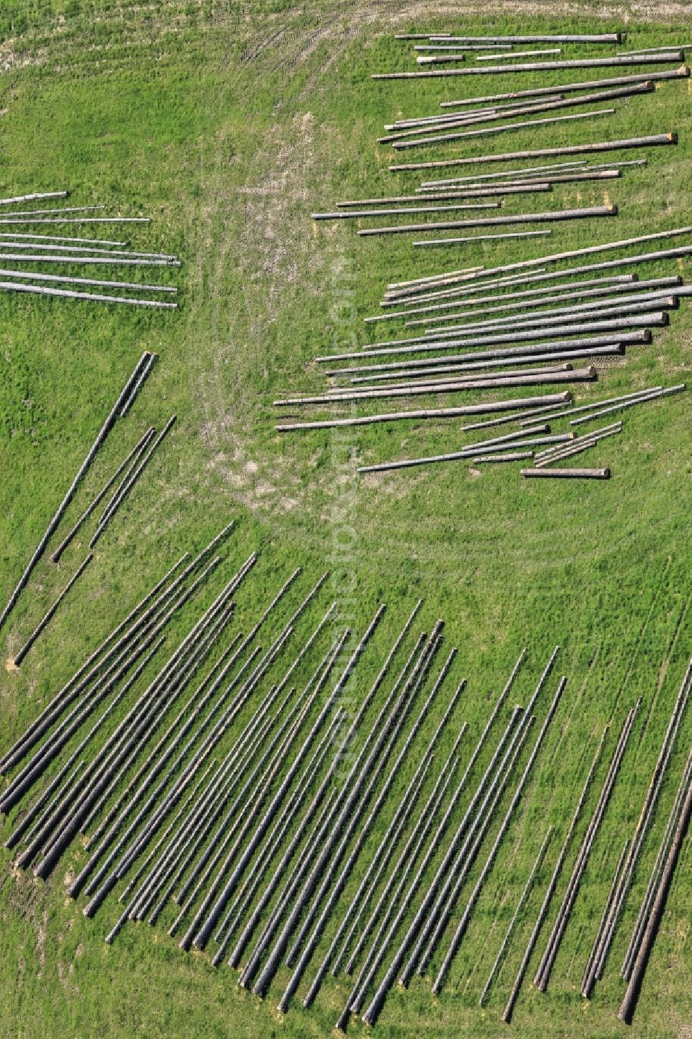 Aerial photograph Kumhausen - Felled tree trunks in a forest area in Kumhausen in the state Bavaria