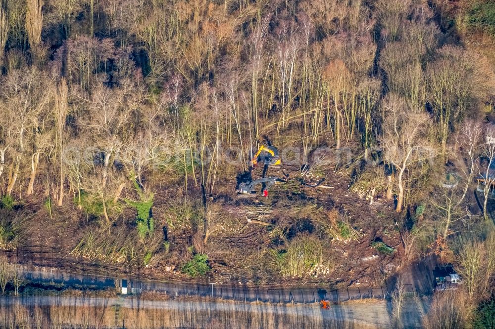 Aerial photograph Bochum - Felled tree trunks in a forest area in the district Hordel in Bochum in the state North Rhine-Westphalia