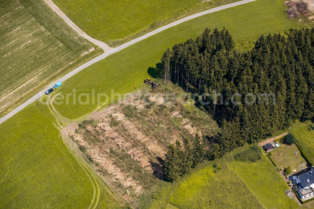 Wehrstapel from the bird's eye view: Felled tree trunks in a forest area in Wehrstapel in the state North Rhine-Westphalia, Germany