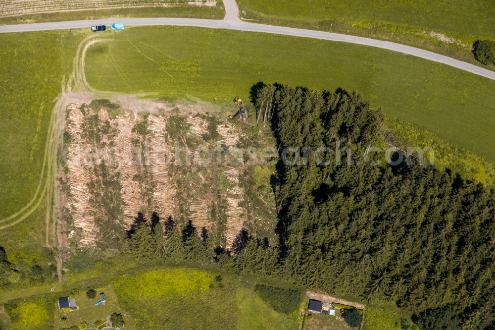 Aerial image Wehrstapel - Felled tree trunks in a forest area in Wehrstapel in the state North Rhine-Westphalia, Germany