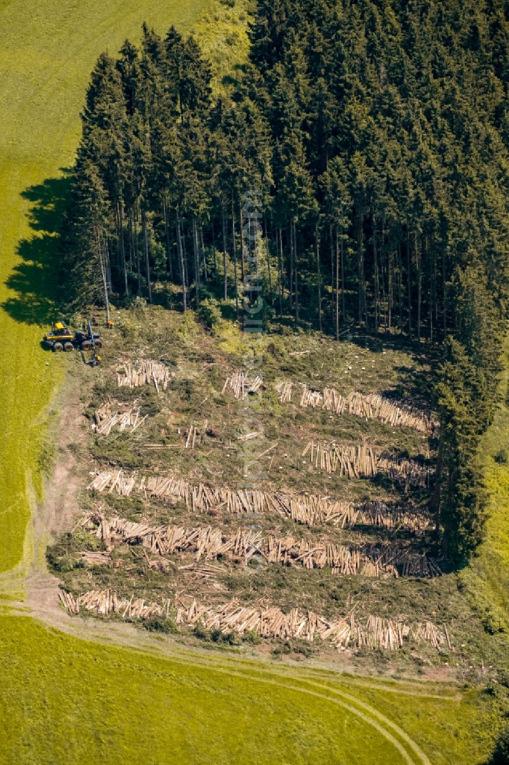 Aerial photograph Wehrstapel - Felled tree trunks in a forest area in Wehrstapel in the state North Rhine-Westphalia, Germany