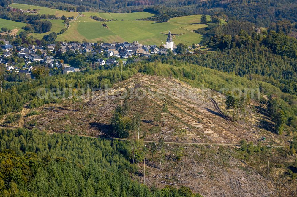 Wehrstapel from above - Felled tree trunks in a forest area in Wehrstapel in the state North Rhine-Westphalia, Germany