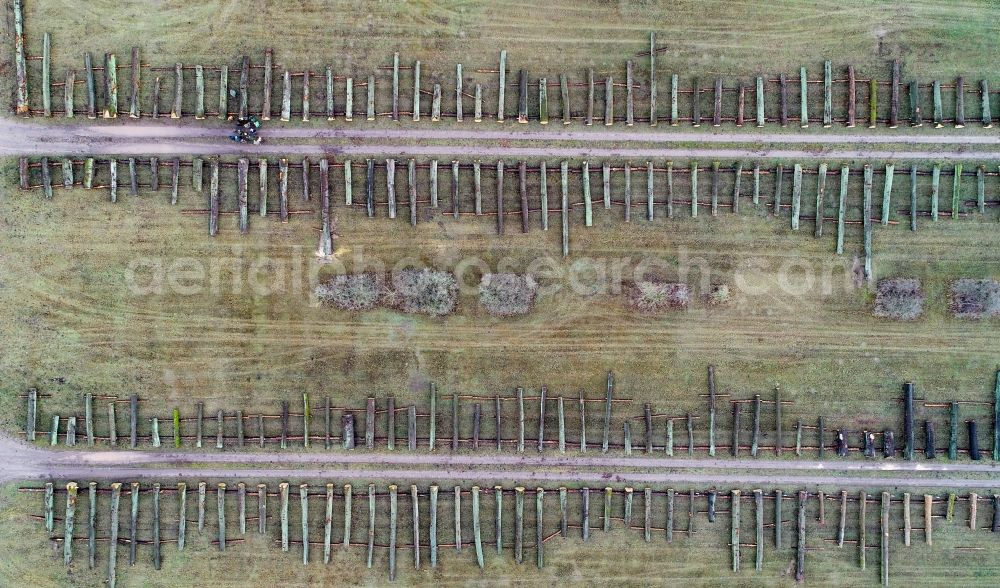 Chorin from the bird's eye view: Felled tree trunks in a forest and forest area on a valuable wood storage area at a sales auction in Chorin in the state Brandenburg, Germany