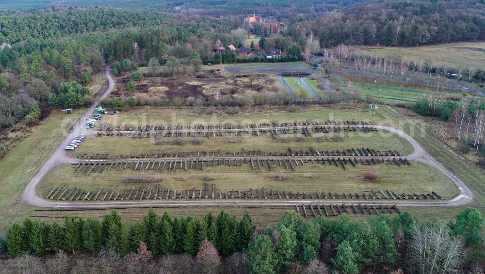 Aerial photograph Chorin - Felled tree trunks in a forest and forest area on a valuable wood storage area at a sales auction in Chorin in the state Brandenburg, Germany