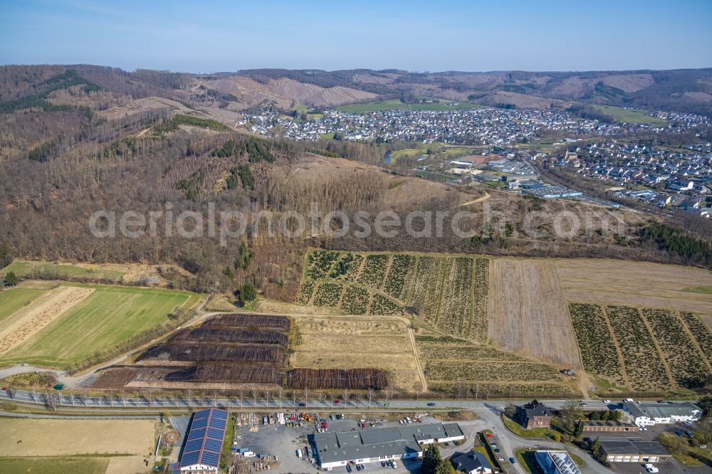 Oeventrop from above - Felled tree trunks in a forest and forest area Flinkerbusch Holzbau Im Neyl in Oeventrop in the state North Rhine-Westphalia, Germany