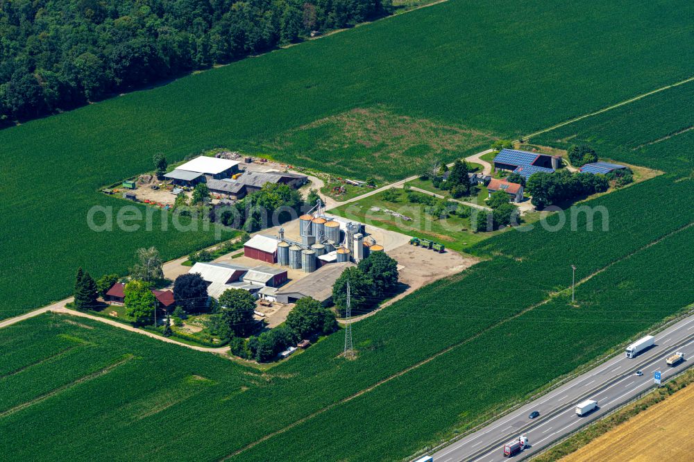 Aerial image Mahlberg - Homestead and farm outbuildings on the edge of agricultural fields on street Allmendhoefe in Mahlberg in the state Baden-Wuerttemberg, Germany