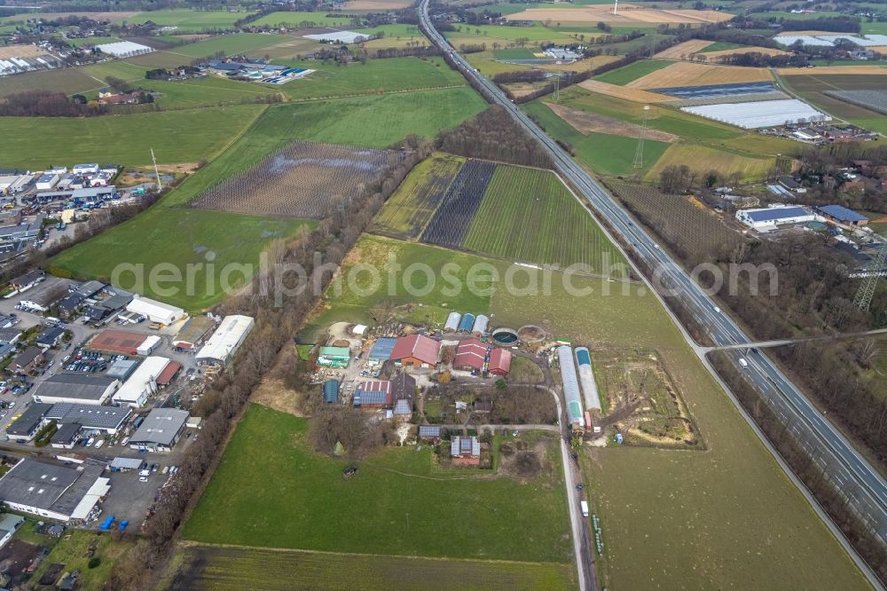 Aerial photograph Kirchhellen - Homestead of a farm on Dahlberg in Kirchhellen at Ruhrgebiet in the state North Rhine-Westphalia, Germany