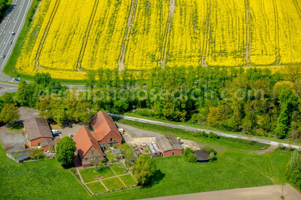 Drensteinfurt from the bird's eye view: Homestead and farm outbuildings on the edge of agricultural fields in Drensteinfurt in the state North Rhine-Westphalia, Germany