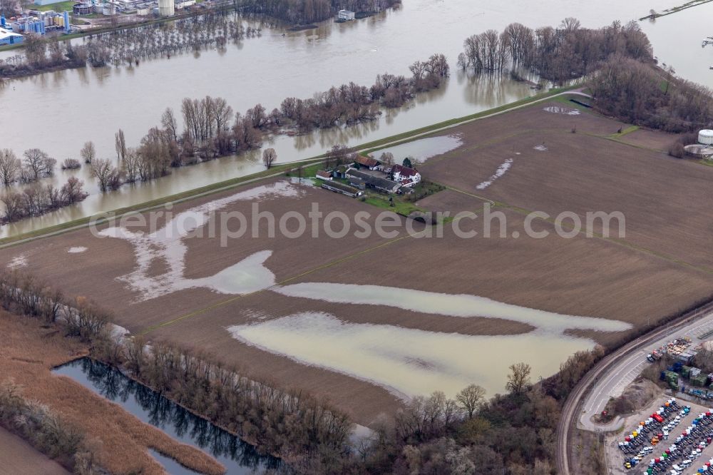 Wörth am Rhein from the bird's eye view: Homestead of a farm Hofgut Ludwigsau at Rhine flood in Woerth am Rhein in the state Rhineland-Palatinate, Germany