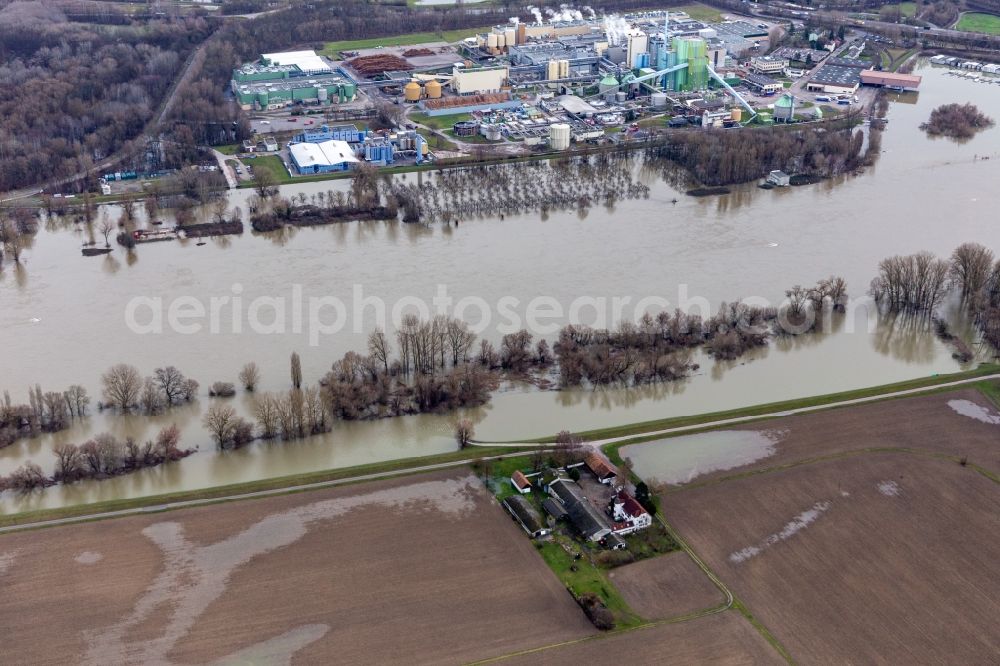 Aerial image Wörth am Rhein - Homestead of a farm Hofgut Ludwigsau at Rhine flood in Woerth am Rhein in the state Rhineland-Palatinate, Germany