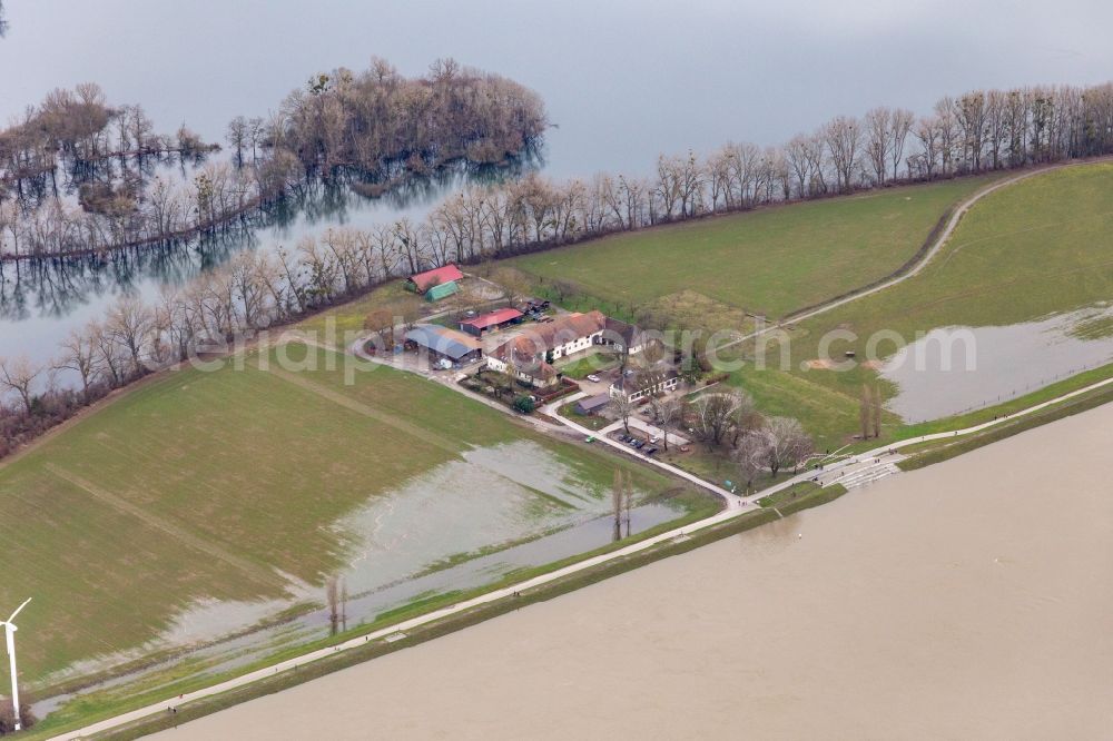 Aerial photograph Maxau - Homestead of a farm Hofgut Maxau Country inn / farm shop when the Rhine floods in Maxau in the state Baden-Wuerttemberg, Germany