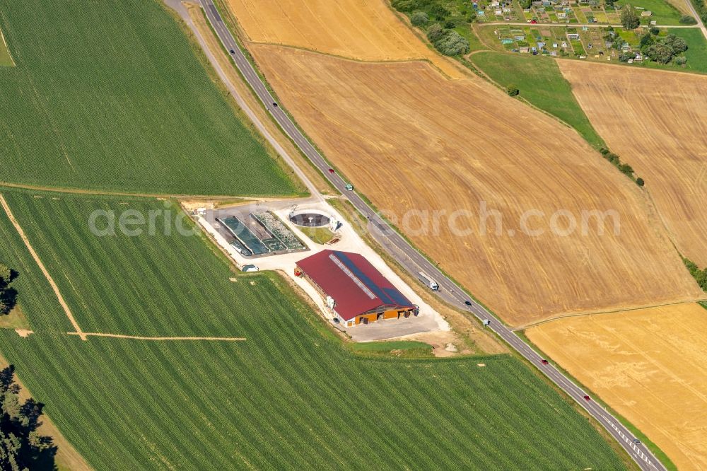 Immendingen from the bird's eye view: Homestead of a farm in Immendingen in the state Baden-Wuerttemberg, Germany