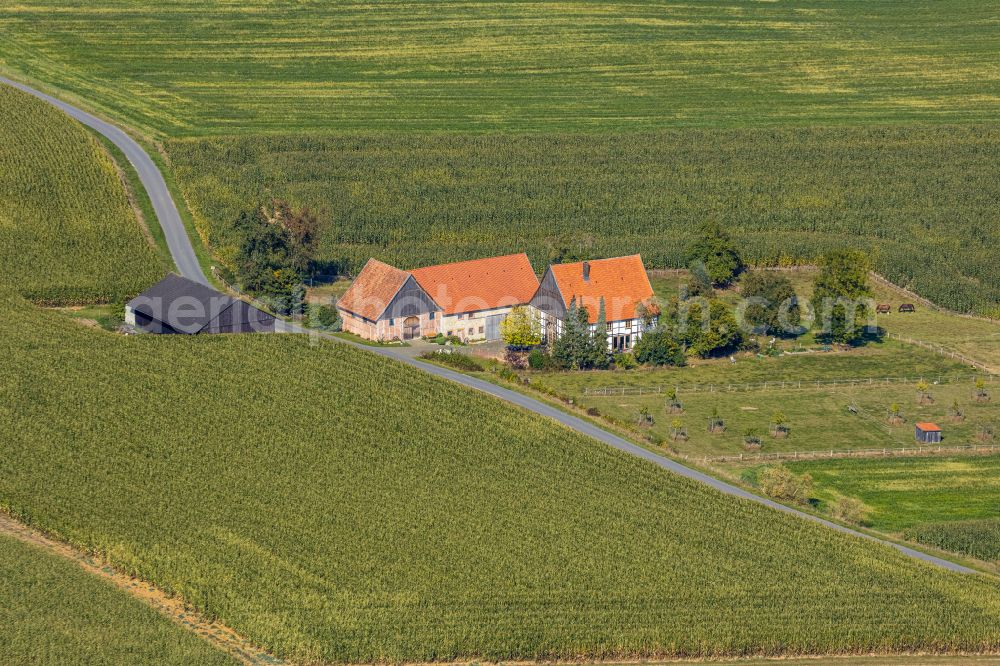 Istrup from above - Homestead and farm outbuildings on the edge of agricultural fields in Istrup in the state North Rhine-Westphalia, Germany