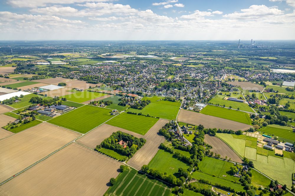 Kirchhellen from above - Homestead and farm outbuildings on the edge of agricultural fields on street Grueteringsfeld in Kirchhellen at Ruhrgebiet in the state North Rhine-Westphalia, Germany