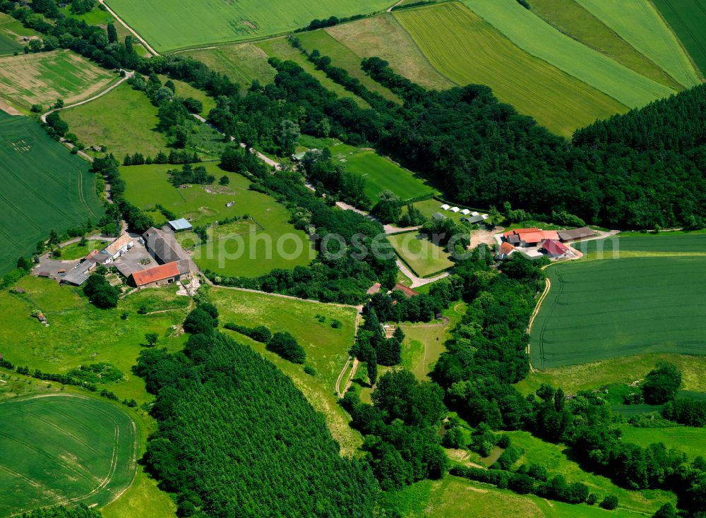 Aerial photograph Nieder-Wiesen - Homestead and farm outbuildings on the edge of agricultural fields in Nieder-Wiesen in the state Rhineland-Palatinate, Germany