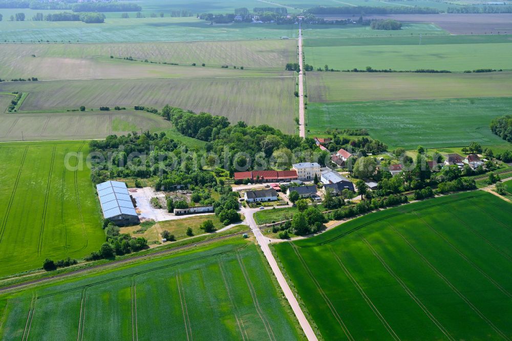 Osternienburg from the bird's eye view: Homestead and farm outbuildings on the edge of agricultural fields in Osternienburg in the state Saxony-Anhalt, Germany