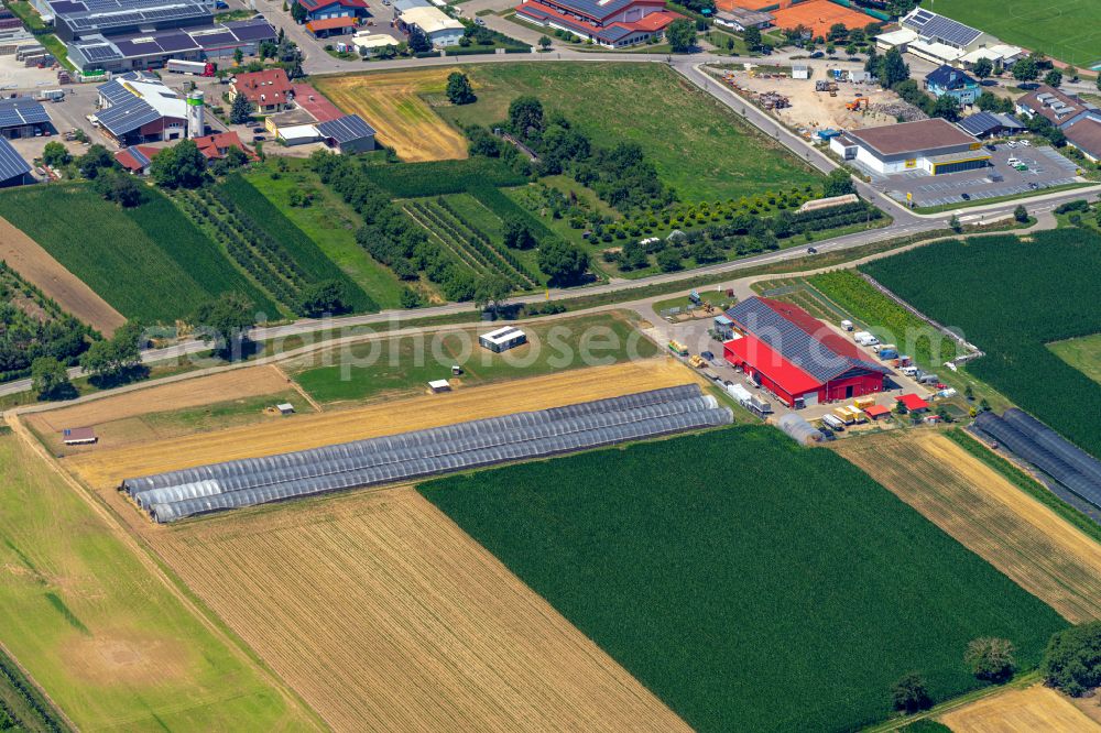 Aerial photograph Wyhl am Kaiserstuhl - Homestead and farm outbuildings on the edge of agricultural fields Strudels Hofladen on street Sasbacher Strasse in Wyhl am Kaiserstuhl in the state Baden-Wuerttemberg, Germany