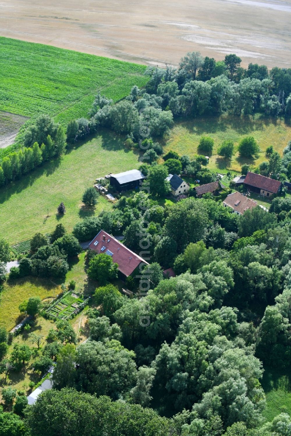 Aerial photograph Ackermannshof - Homestead of a farm in Ackermannshof in the state Brandenburg, Germany