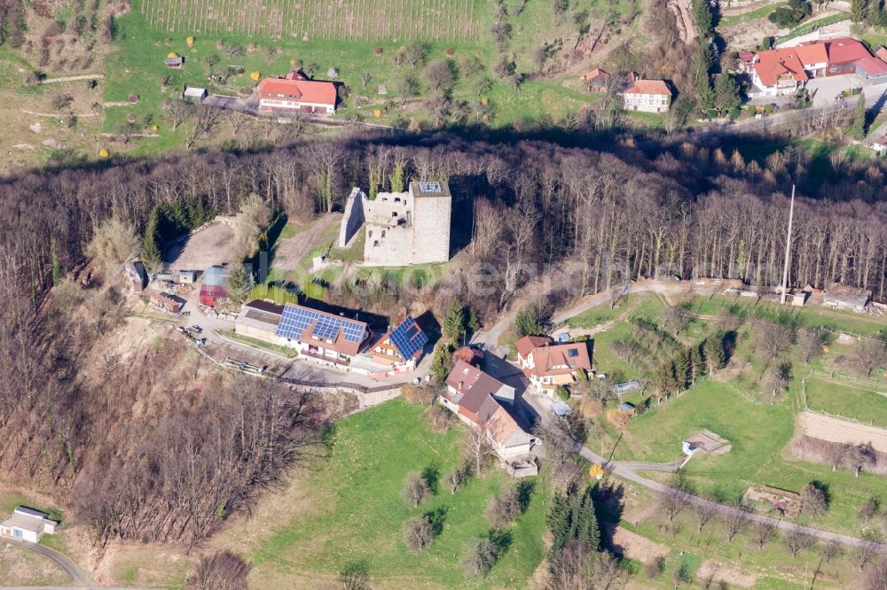 Aerial image Sasbach - Homestead of a farm Baumschule Ringwald in the district Obersasbach in Sasbach in the state Baden-Wuerttemberg, Germany