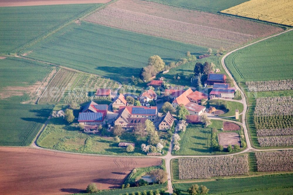 Aerial photograph Böttingen - Homestead of a farm in Boettingen in the state Baden-Wurttemberg, Germany