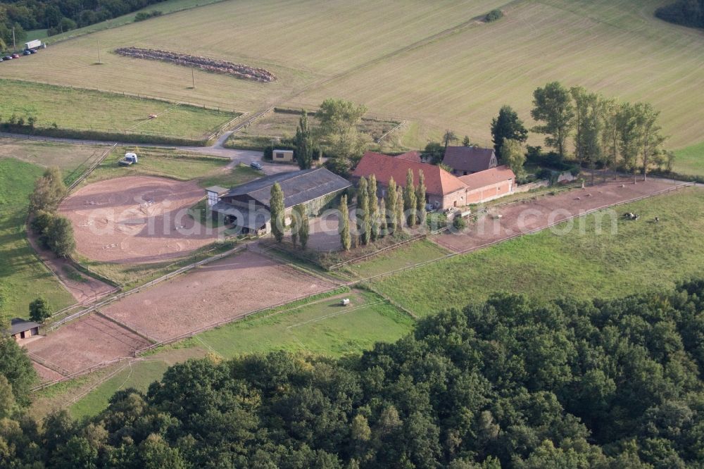 Altleiningen from the bird's eye view: Homestead of a farm Gartenhof in the district Hoeningen in Altleiningen in the state Rhineland-Palatinate