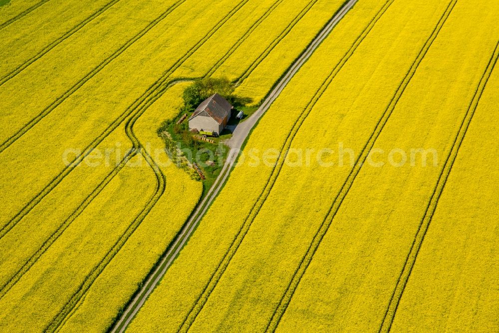 Aerial photograph Anröchte - Homestead of a farm on yellow rape field in Anroechte in the state North Rhine-Westphalia, Germany