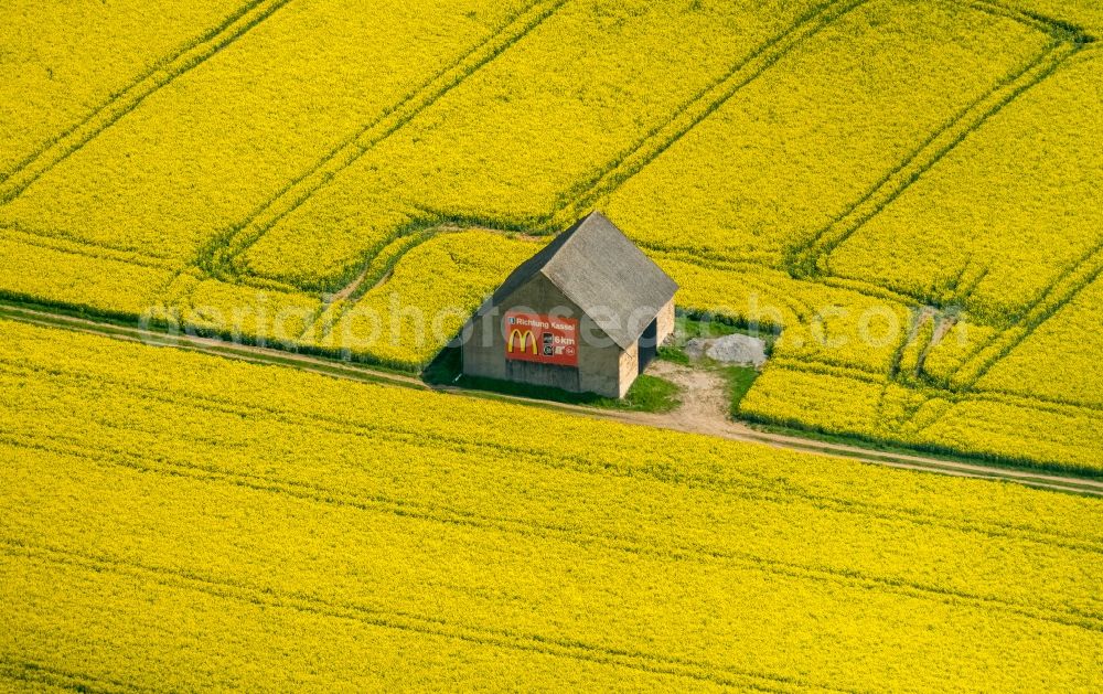 Aerial image Marsberg - Homestead of a farm in yellow fields in Marsberg in the state North Rhine-Westphalia, Germany